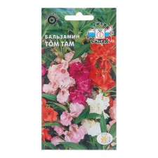 Balzamine flowers 