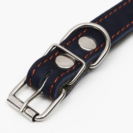 Collar combined leather/tarpaulin, dimensionless, 54 x 2.5 cm, Osh 17-45 cm, blue-3