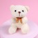 Set "I love you", a toy in a mug, Bear, color mix