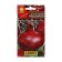 Onions are onion "Red Baron", o, 0.5 g