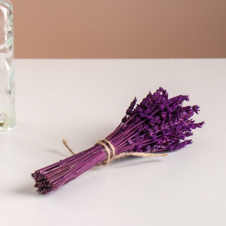 Lavender dried flowers set, banch length 15 (+/- 6 cm), lilac-4