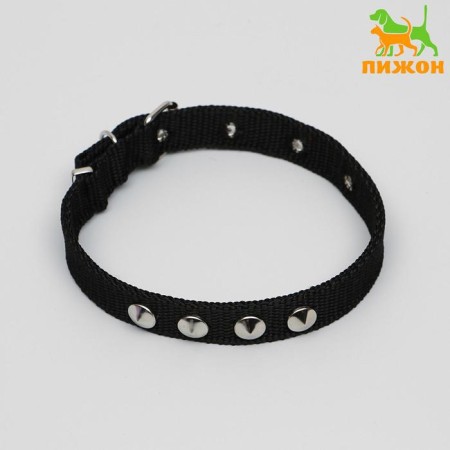 Animal collar
