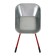 Garden car, two -wheeled: cargo/p 120 kg, volume of 85 l, red handles