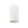 Ceiling lamp ST LUCE. ST110.507.01. 1x50 W, GU10, 5.4x5.4x10 cm, white color