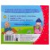 Books-bears. Sudoku