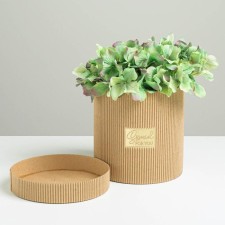 Gift Hat Athletic Microhofra, Packaging, Special For You, 15 x 15 cm
