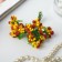 Decor for creativity "Sharged berries" (set-bouquet of 10 flowers) 8.5 cm d = 2 cm mix