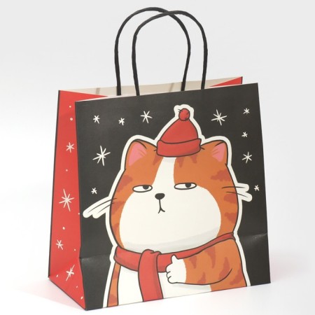 Gift package "Happiness", 22 x 22 x 11 cm, new year-3