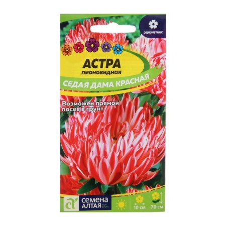 Seeds of flowers Astra "Seday lady", red, sed. ALT, c/p, 0.2 g