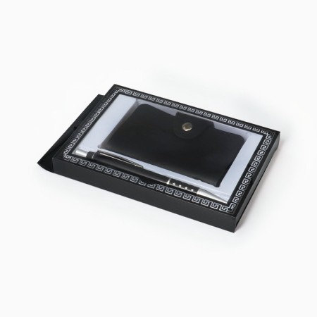 Gift set 2V1 (pen, business card)-1