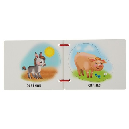 Cards with lacing and puzzles "Animals". Gorbunova I.V.-3