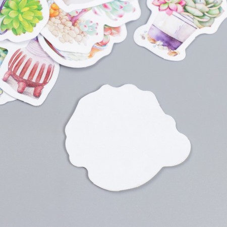 Stickers for creativity "Sukkulents in pots" set of 45 pcs 4.4x4.4x1.1 cm-2