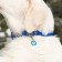Address for engraving "paw", 2.5 cm, blue