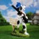 Garden figure "dog Archik - Open for friends" 36x50x16cm