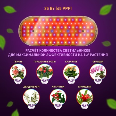 Lamp for plants ERA Fito-25W-QLED-Fly suspended full spectrum 25 W-4