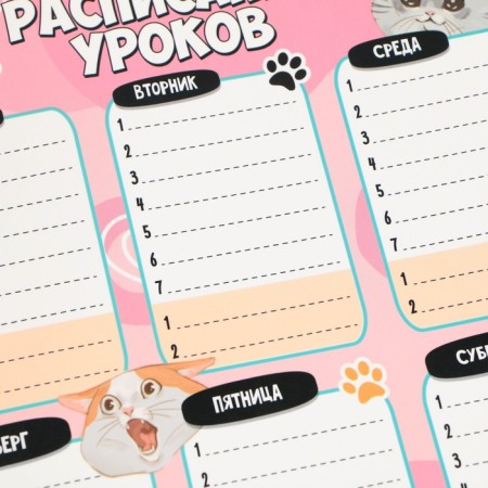 Lesson schedule "Cute cats" A4, reusable magnetic with marker-3