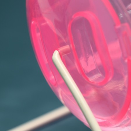 A ball for rodents on a metal base, 12 cm, pink-1