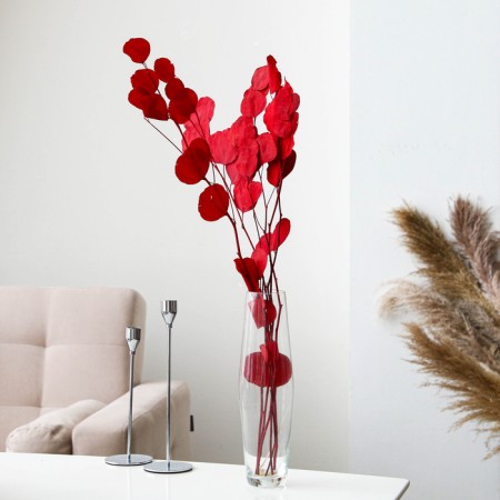 Sukhotzet of peach wood, 50 g, length - 70 cm, red color
