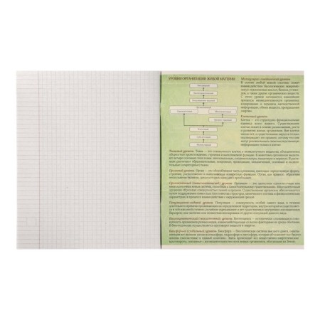 Substantial note Calligrata "Metal", 48 sheets in a biology cage, with reference material, covered cardboard, unit No. 2, whiteness 75% (gray sheets)-2