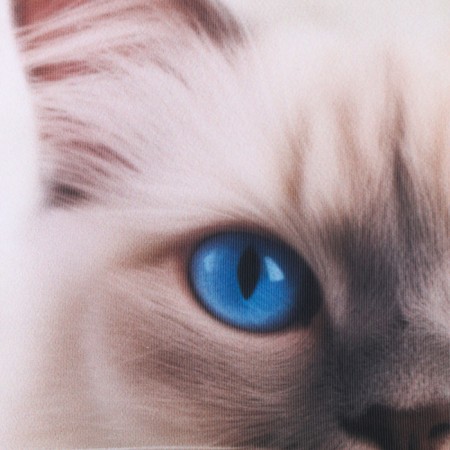 Antistress pillow "Ragdoll"-4