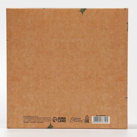 Box the team "New Year's Post", 17 x 17 x 7 cm, New Year-5