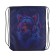 A bag for shoes 420 x 340 mm, calligrata MSO-5s, (soft polyester, density 210d), "dog in headphones"