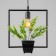Lamp Bayerlux "Square" Black 1x40W E27 12x34x48 cm