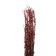 Sukhotzet "Lavender narrow -leaved", pink, 50 - 100 g in packaging