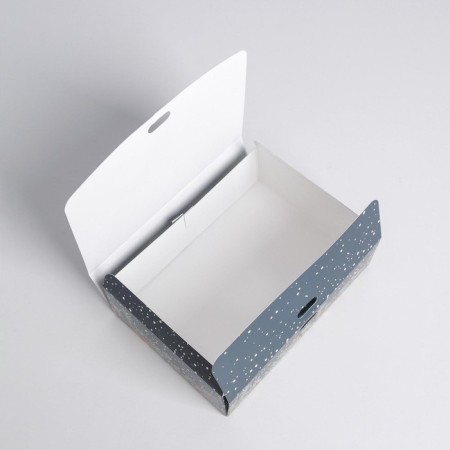 Folding Gift Box "New Year Botanika", 16.5 x 12.5 x 5 cm, New Year-7