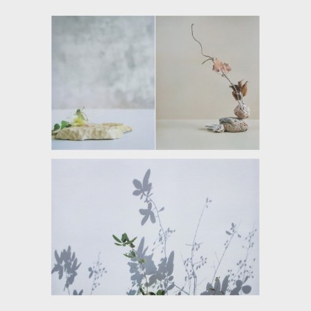 Photophone bilateral paper 300 gr "elegant plants" 57x87 cm