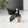 Polystone souvenir "Black and white kitten" mix 2.2x3x4.4 cm