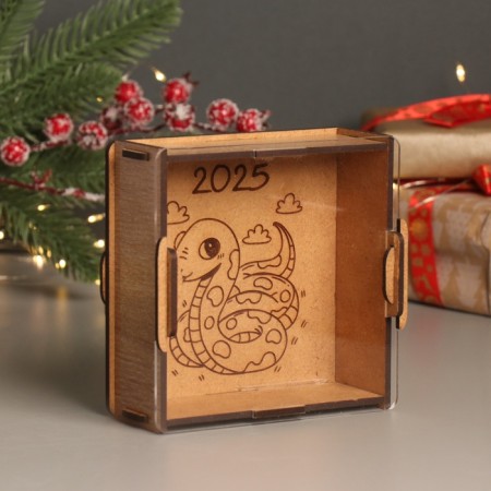 New Year's piggy bank with acrylic "Snake. Cute" 12x12x4 cm-1