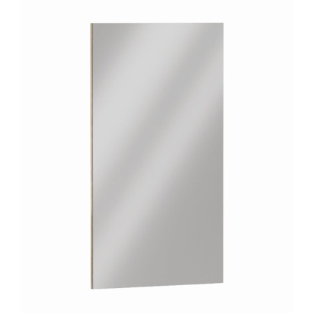 Denver mirror, 460x900, graphite