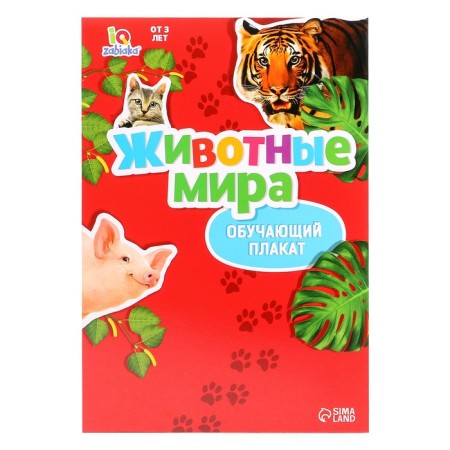 Training set "Funny Animals": animals and poster, according to the Montessori methodology-6