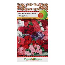 Flocus seeds Flox one -year 