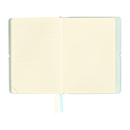 Diary of Leduced A5 136 DEVENTE sheets. Jane, soft pvc cover, elastic band, perforation, liesse, block 70, blue-13