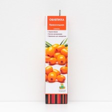 Sea buckthorn 