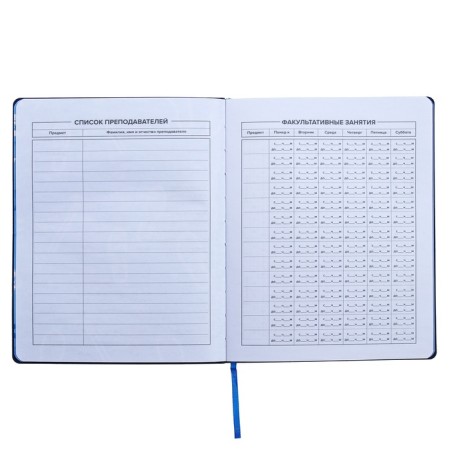 Universal Diary Grade 1-11, 48 sheets "sneakers", soft cover of artificial leather, silk-aircraft, OFSET block-6