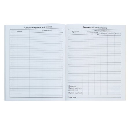 Universal diary for grades 1-11, "pink marble", soft cover, 40 sheets-6