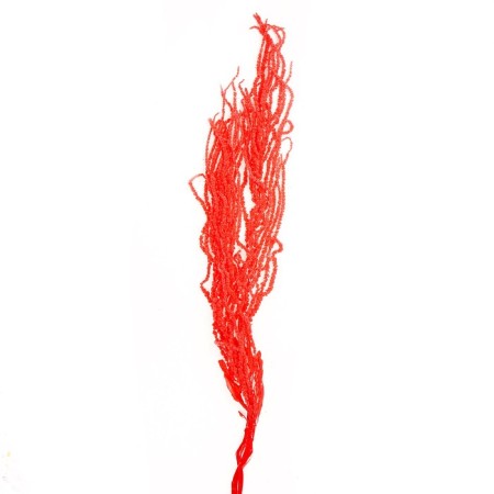 Dry amaranth flowers, 100 g, sheet size: from 50 to 60 cm, pink color-2