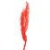 Dry amaranth flowers, 100 g, sheet size: from 50 to 60 cm, pink color