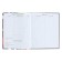 Diary for grades 1-4 "back to school. Collage", solid cover, glossy lamination, 48 sheets