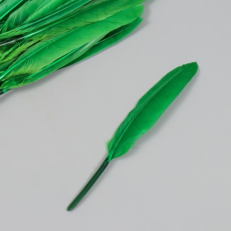Decorative goose penis "bright green" set 30 pcs h = 10-12 cm-1