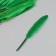 Decorative goose penis "bright green" set 30 pcs h = 10-12 cm