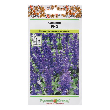 Salvia flowers "Rio", 20 pcs