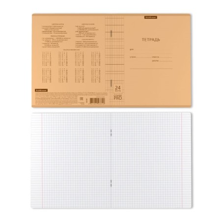 Notebook 24 sheets in the Erichkrause Coverpro NEON Classica, plastic cover, OFSET BOLK, 100%whiteness, Orange-2