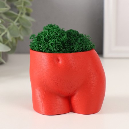 Interior subject "Innocent View" Height 7cm, width 8.5 cm red with moss (moss green. Stub 1041209
