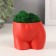 Interior subject "Innocent View" Height 7cm, width 8.5 cm red with moss (moss green. Stub 1041209