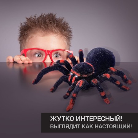 Radio -controlled spider "Tarantula", works on batteries, lighting effects-3