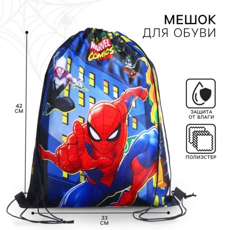 Shoe bag 420*330 mm, spiderman